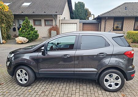 Ford EcoSport 125 PS Connect Winterpaket Zahnriemen