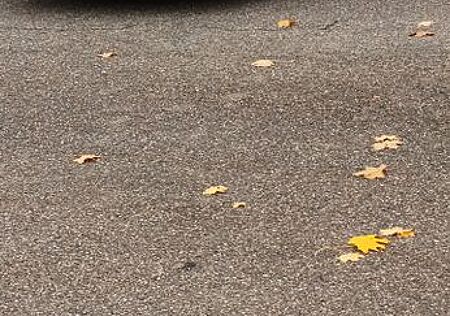 Opel Grandland X gebraucht kaufen Opel Grandland X Grandland (X) 1.2 Turbo 96kW Innovation Inno...