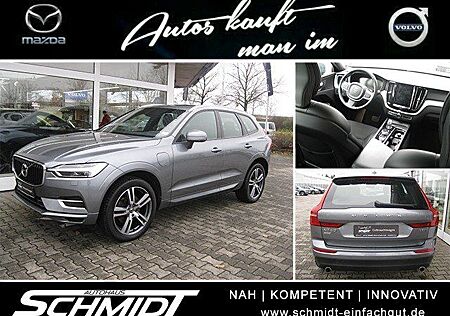 Volvo XC 60 XC60 T8 TWIN ENGINE Momentum Pano/360°