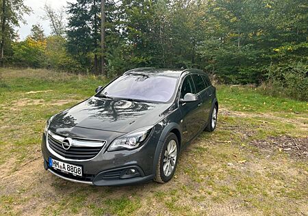 Opel Insignia CT Country Tourer 2.0 CDTI eco 125 ...