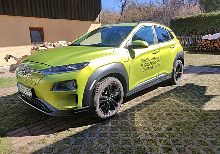 Hyundai Kona Elektro ELEKTRO 100kW Advantage Advantage