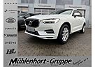 Volvo XC 60 XC60 T8 AWD Geartronic MOMENTUM - Sthg - Pano