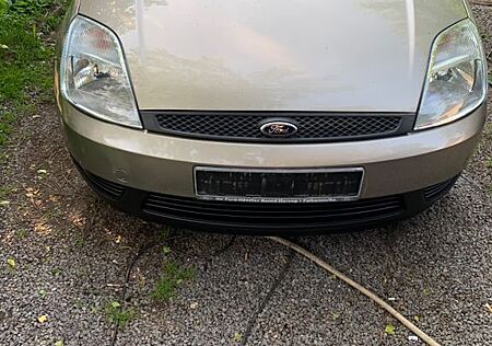 Ford Fiesta 1,3 44 kW Viva Viva