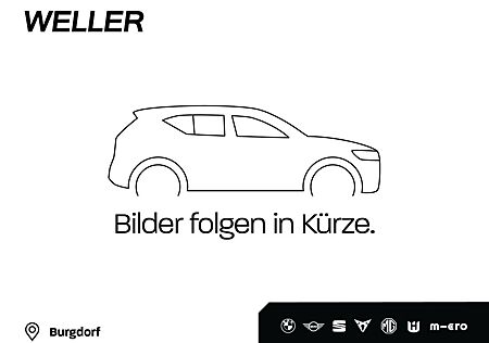 Skoda Fremd Klima Einparkhilfe el. Fenster