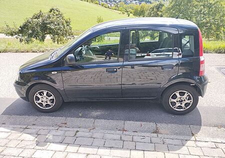 Fiat Panda gebraucht kaufen Fiat Panda