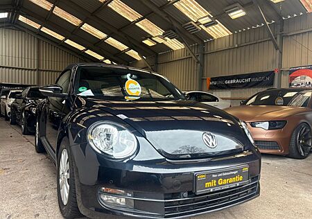 VW Beetle Volkswagen Cabriolet Basis BMT
