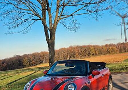 Mini Cooper Cabrio Classic Trim Classic Trim