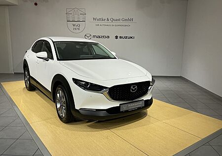 Mazda CX-30 Bose Lenkradheizung