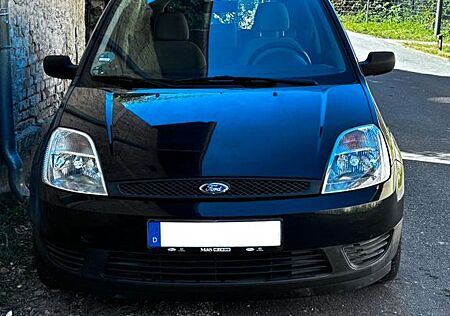 Ford Fiesta 1.25 16V Ambiente Ambiente