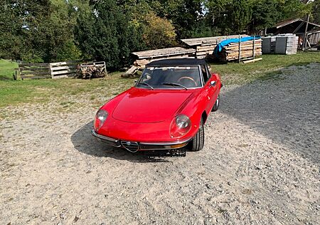 Alfa Romeo Spider