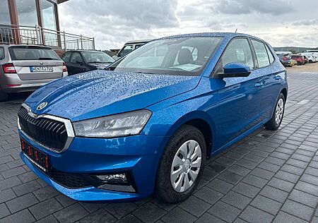 Skoda Fabia Selection PDC SHZ GRA BT VIRTUAL DAB