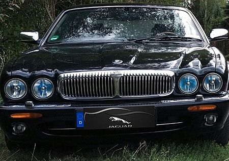 Jaguar Daimler XJ 4.0 Super V8 Lang Super 32V 363 PS