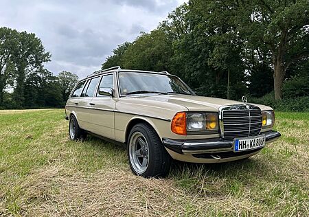 Mercedes-Benz 300 TDT W123 Motor+Getriebe revidiert AMG-Felgen