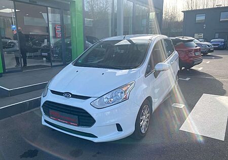 Ford B-Max Schiebetüren, WSS beheizt