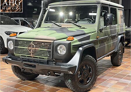 Mercedes-Benz G 300 CDI Pur Professional Greenliner Fleckliner