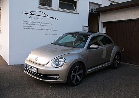 VW Beetle Volkswagen Lim. Cup/PANORAMA/AUTOMATIK/8-FACH BEREIF