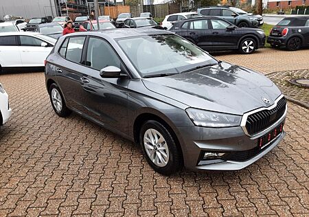 Skoda Fabia Selection DSG Klima LED Kamera Appel Car