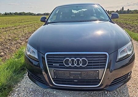Audi A3 2.0 TDI (DPF) quattro Ambition