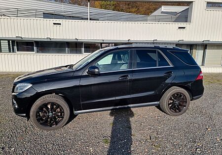 Mercedes-Benz ML 350 BlueTEC 4MATIC - Standheiz. Memory, AHK