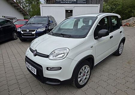 Fiat Panda 4x4