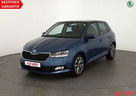 Skoda Fabia 1.0 TSI Clever LED Navi ACC Panorama DAB