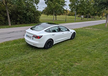Tesla Model 3 Standard-Reichweite Plus - Hinterrad...