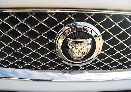 Jaguar XKR gebraucht kaufen Jaguar XKR 5.0 V8 Cabriolet R - Kompressor