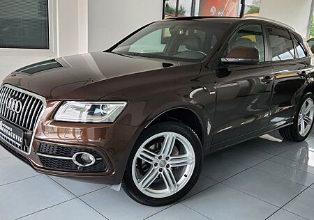 Audi Q5 2.0TFSI quattro S-tronic"S-line"Kamera"Leder