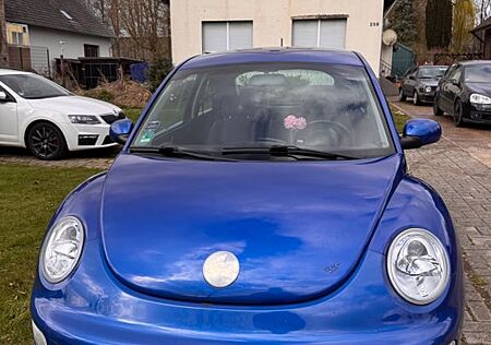 VW Beetle Volkswagen