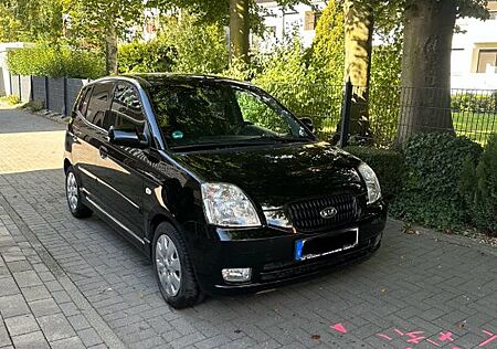 Kia Picanto gebraucht kaufen Kia Picanto 1.1 EX EX