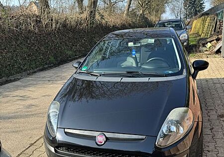 Fiat Punto EVO neuer Tüv + Service