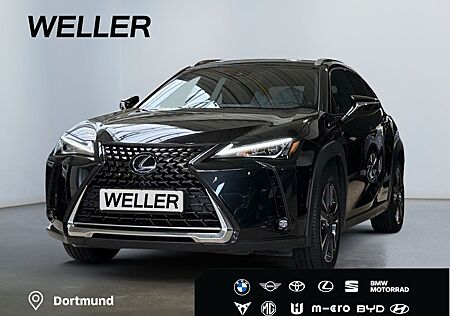 Lexus UX 250h Style Edition *Bi-LED*ACC*CAM*CarPlay*PD