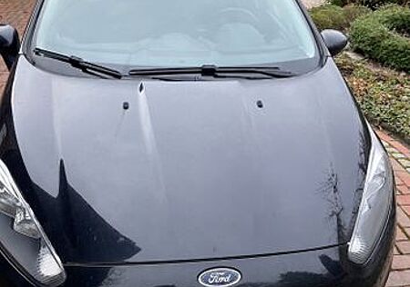 Ford Fiesta 1,25 60kW Trend
