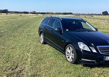 Mercedes-Benz E 300 CDI T BlueEFFICIENCY ELEGANCE ELEGANCE