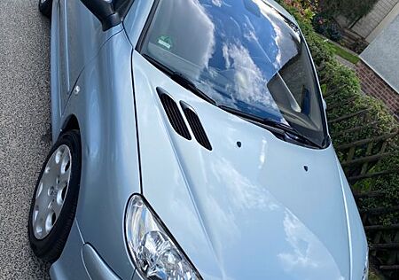Peugeot 206 CC Platinum 110 Automatik Platinium