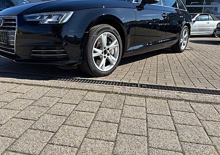 Audi A4 3.0 TDI tiptronic quattroAvant LED Matrix AHK