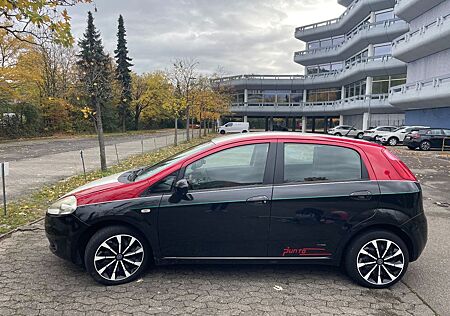 Fiat Punto gebraucht kaufen Fiat Punto 1.4 8V Dynamic Dynamic