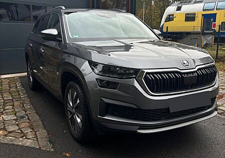 Skoda Kodiaq 4x4 AHK/RFK/LED/SHZv+h