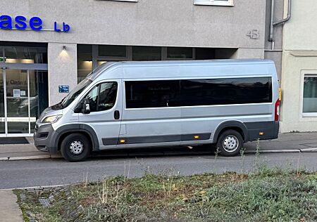 Fiat Ducato Maxi 2.3 L5H2 Snoeks Multicap Doka 6 Sitz