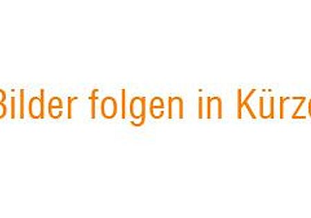 Porsche Cayenne Diesel-BOSE-14 Wege-NAVI-Sitzbelüftung