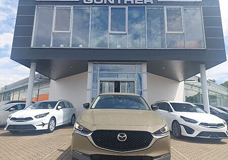 Mazda CX-30 2.5L e-SKYACTIV G 140ps Homura,Automatik,s