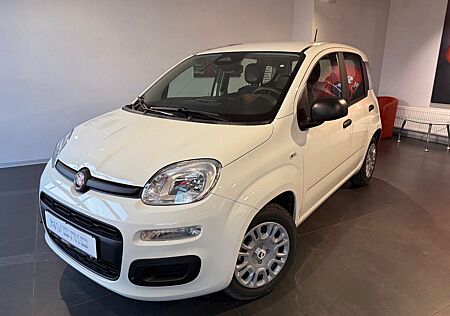 Fiat Panda Pandina ICON Hybrid 1.0 GSE Vorführwagen