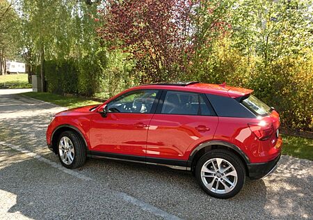 Audi Q2 1.6 TDI sport sport