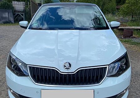 Skoda Fabia 1.2l TSI 66kW Joy Kombi