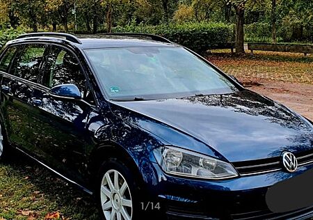 VW Golf Volkswagen 1.6 TDI DSG BMT Trendline Variant Trendline
