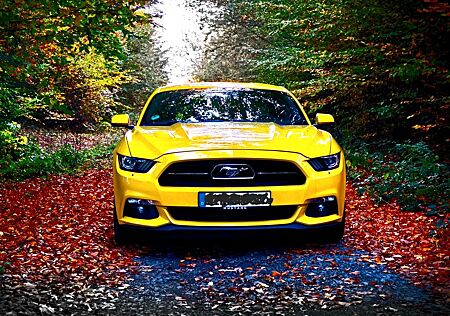 Ford Mustang 50 Jahre Edition, Tausch od. Verkauf