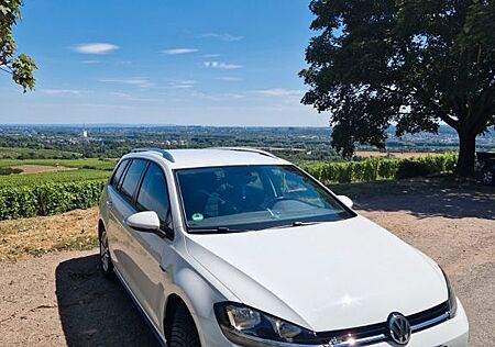 VW Golf Volkswagen Variant R-Line/ Reifen neu / TÜV neu