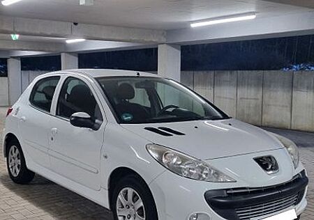 Peugeot 206 + 1.4 Zahnriemen NEU