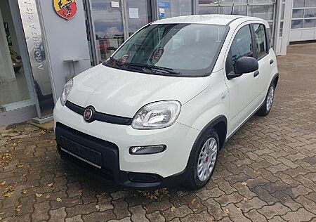Fiat Panda Base