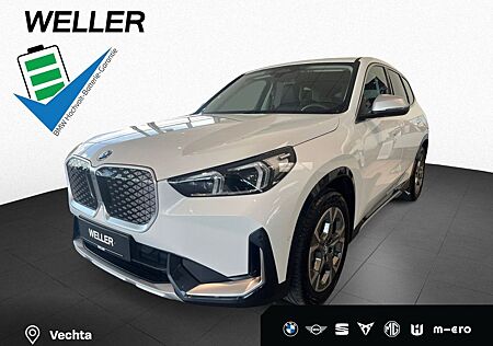 BMW iX1 xDrive30 RFK Ad.LED HiFi St./Stop Shzg 18''